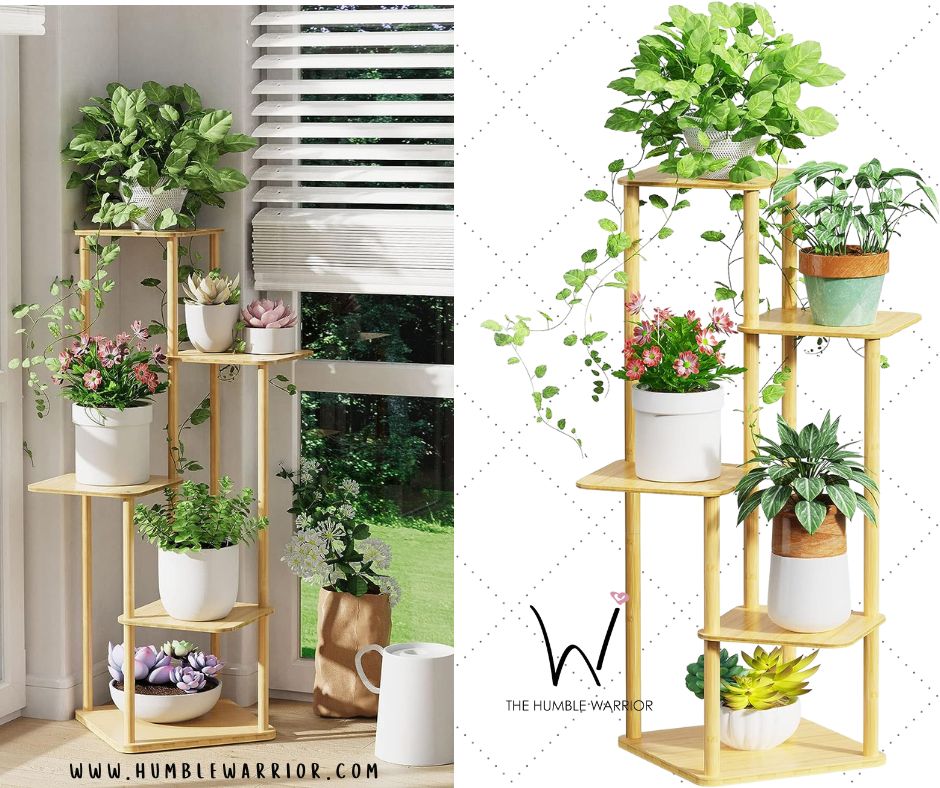 Plant Lovers!