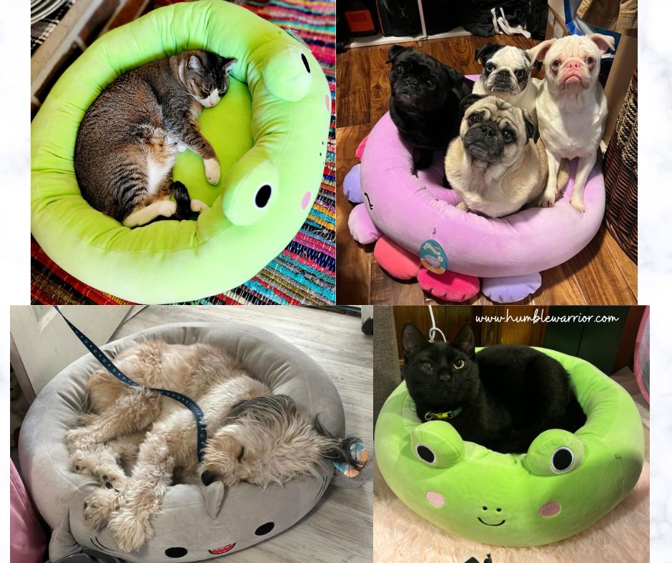 Squishmallow Pet Beds