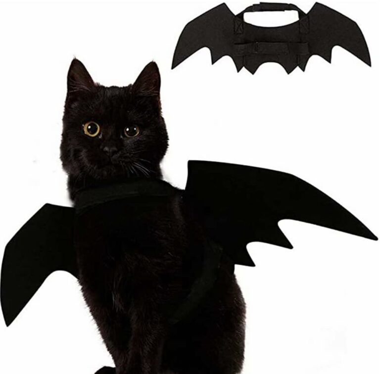 Cat Bat costume