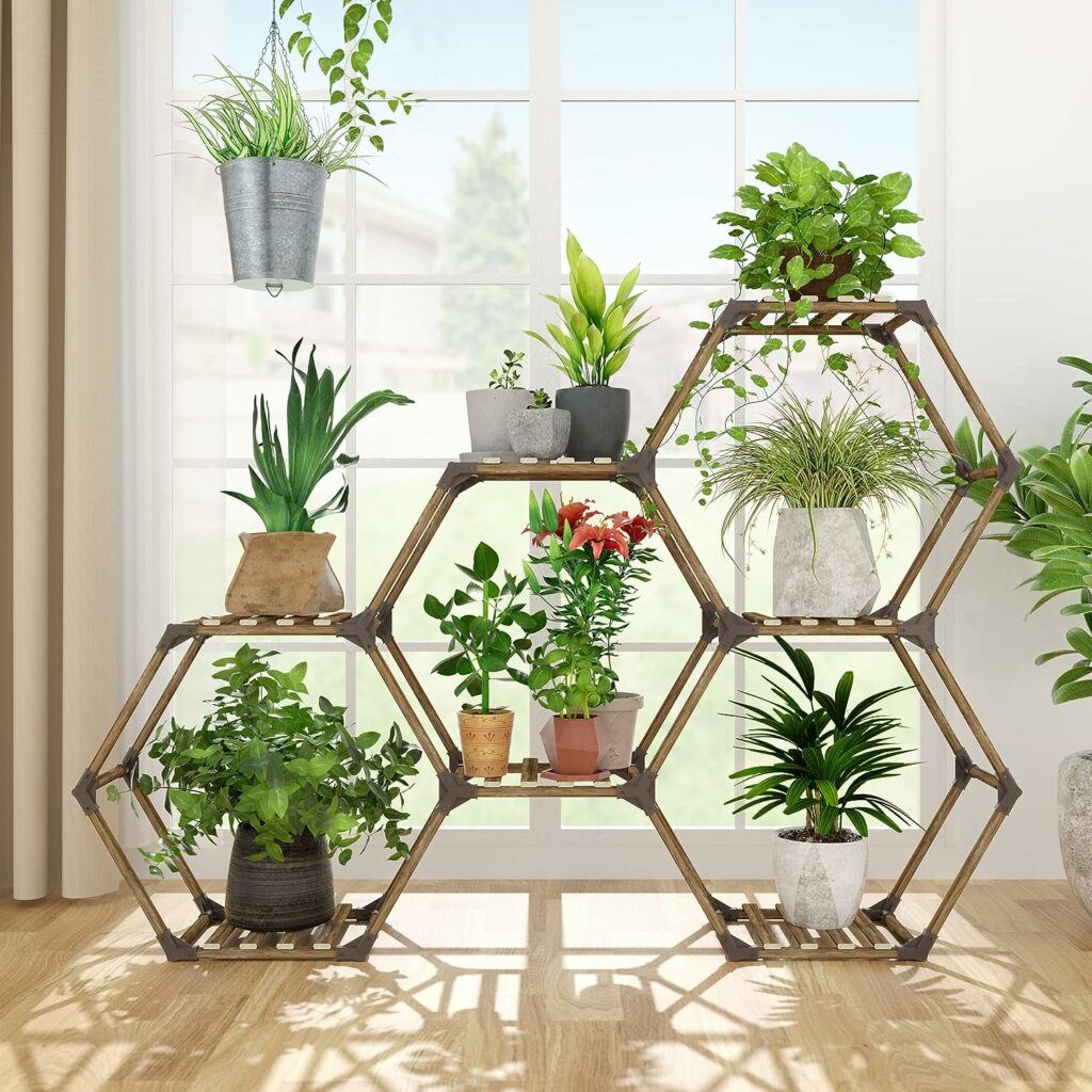 Plant Lovers!