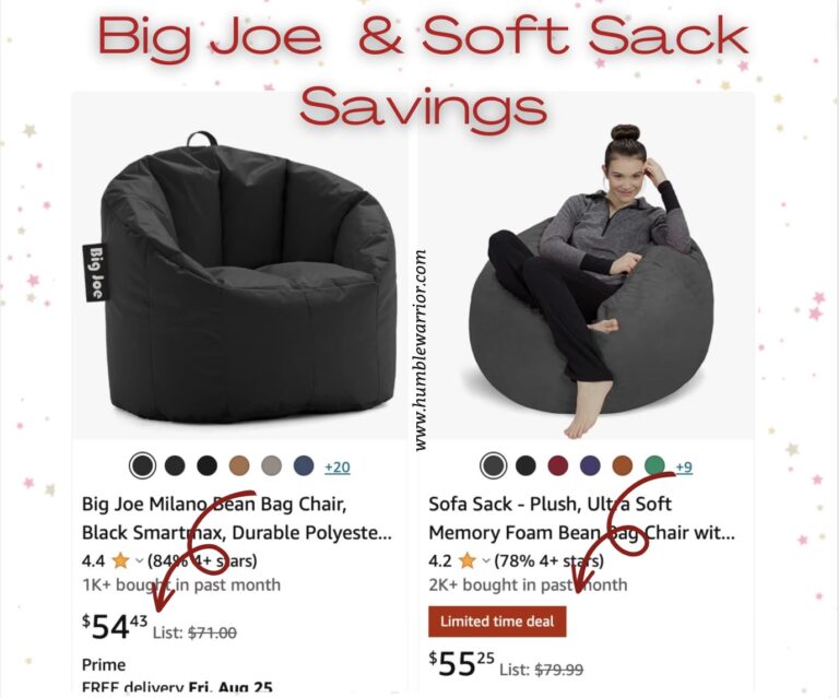 Big Joe & Sofa Sack Bean Bag Chairs!