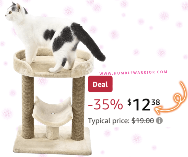 Amazon Basics Platform Cat Tree!