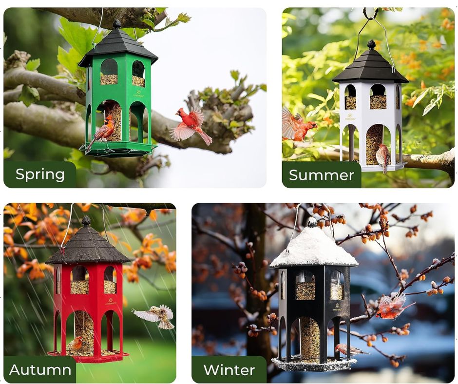 Beautiful Bird Feeders!