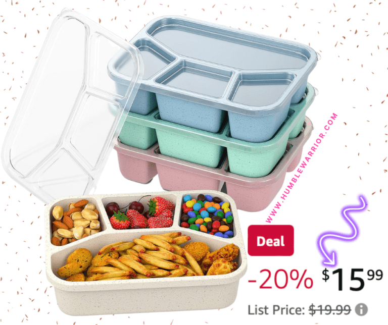 XGXN 4-Pack of 4-Compartment of Bento Box!