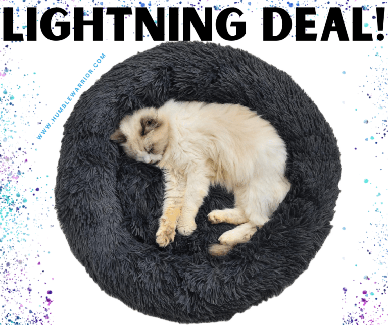 Aalkia Fluffy Cat Bed!