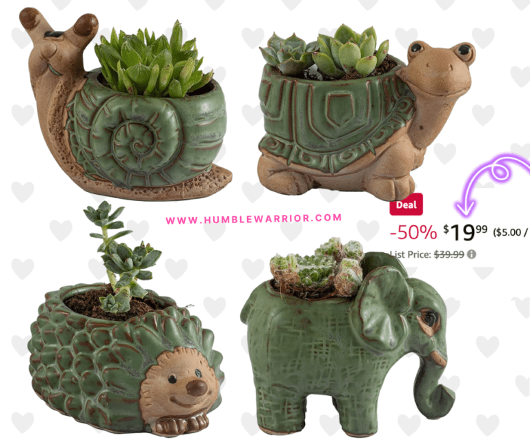 Godealio Set of 4 Small Succulent Plant Pots!