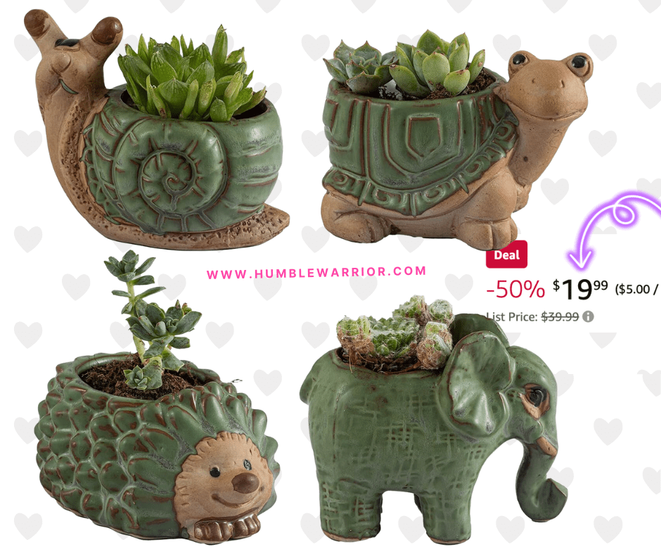 Godealio Set of 4 Small Succulent Plant Pots!