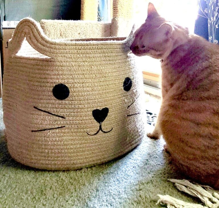 Adorable Cat Basket!