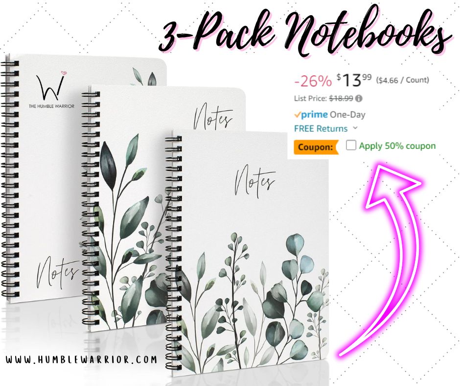 3-Pack Notebooks for Journaling!