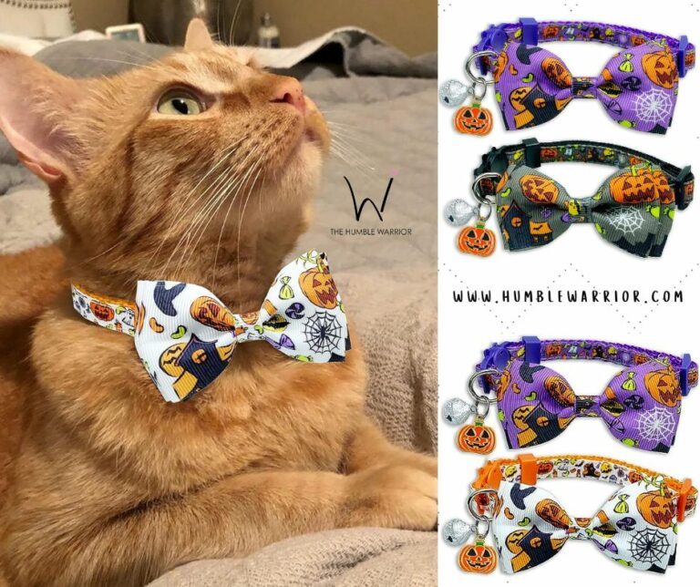 SPOOKTACULAR Halloween Kitty Collars!!