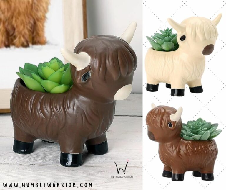 ADORABLE Succulent Plant Pots!!