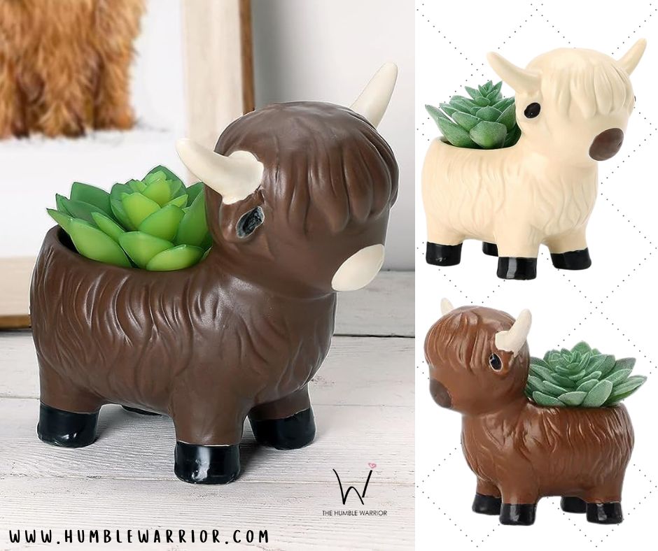 ADORABLE Succulent Plant Pots!!