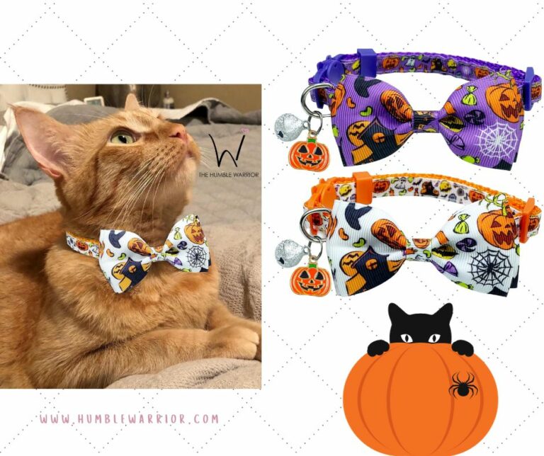 SPOOKTACULAR Halloween Kitty Collars!!