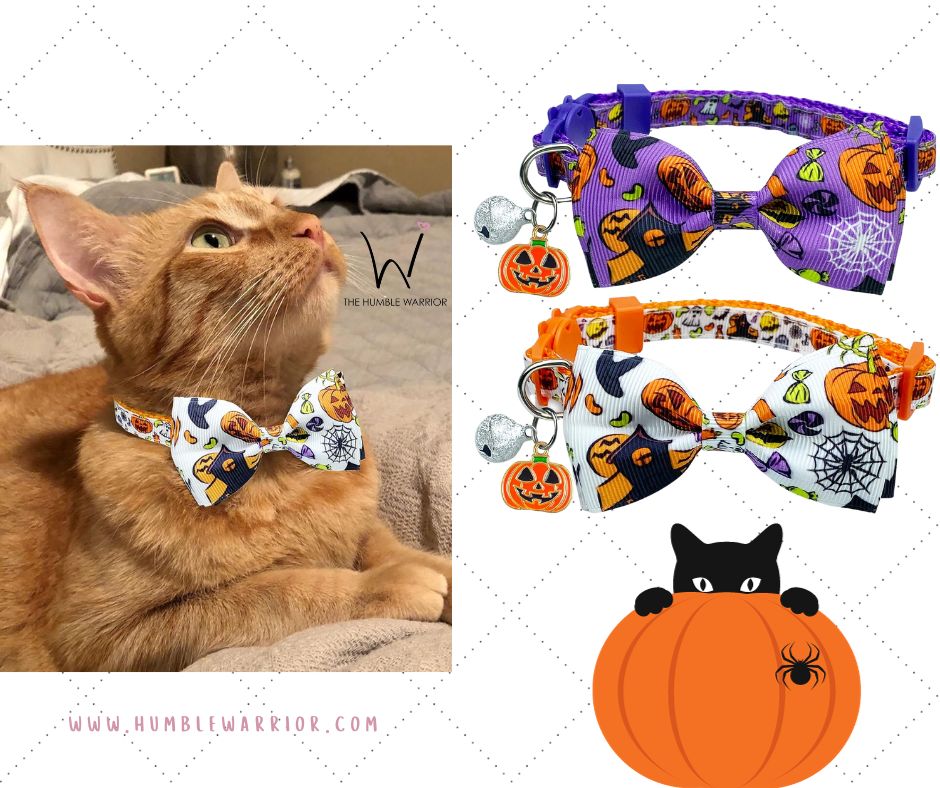 SPOOKTACULAR Halloween Kitty Collars!!