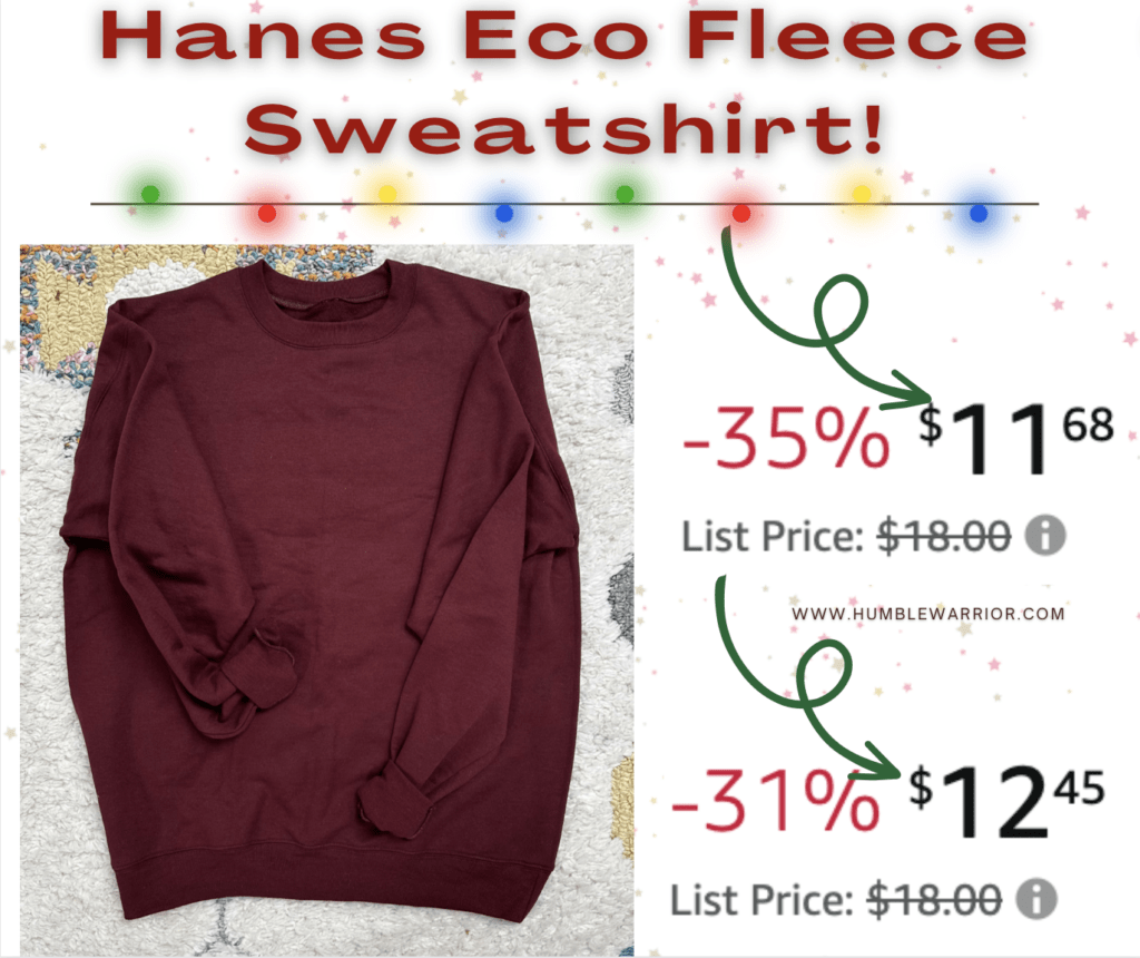 Hanes EcoSmart Fleece Sweatshirt