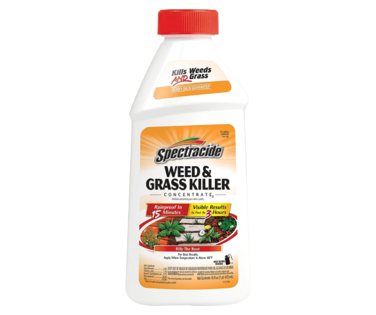 Spectracide Weed And Grass Killer Concentrate 16 Ounces, Use On Patios, Walkways, And Driveways