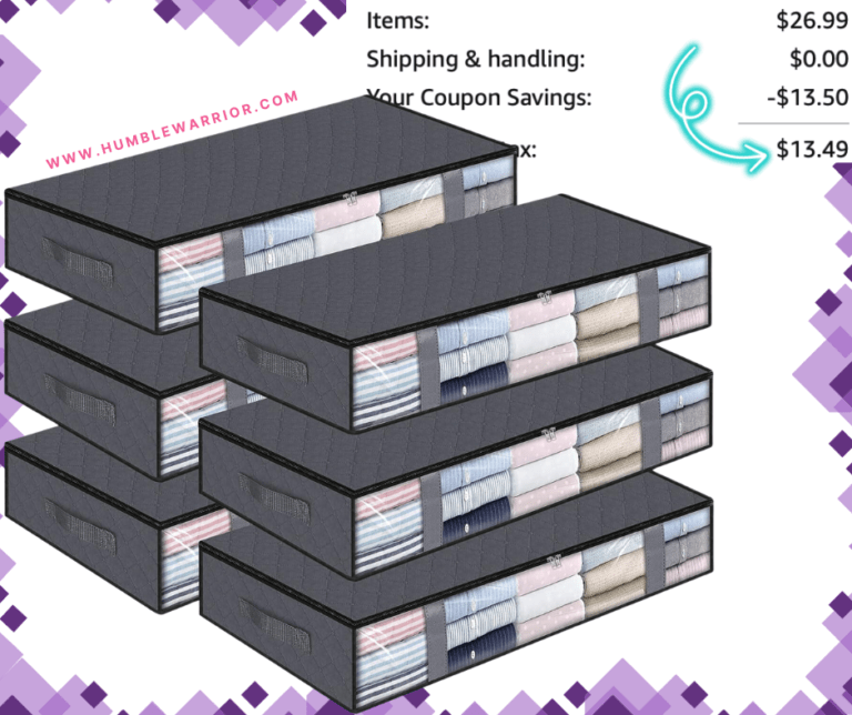 StorageRight 6-Pack of Under-Bed Storage Bags!