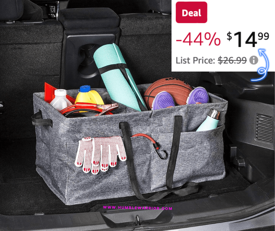Honey-Can-Do Trunk Organizer!