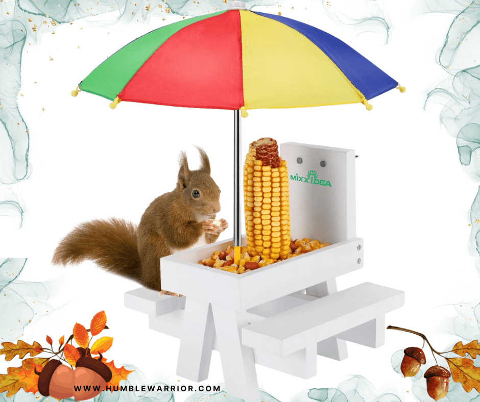 MIXXIDEA Squirrel Picnic Table Feeder!