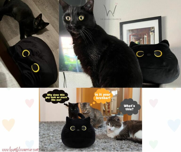 Black Cat Plush