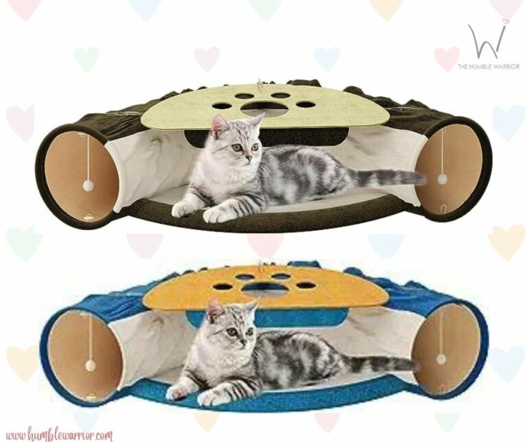Cat Tunnels