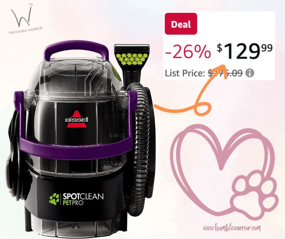 BISSELL Carpet Cleaner