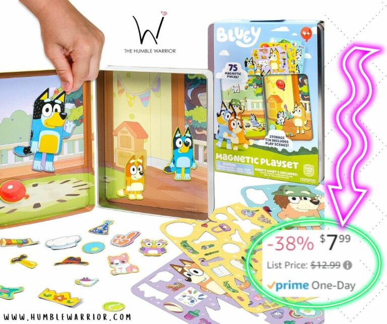 Bluey Magnetic Playset!!