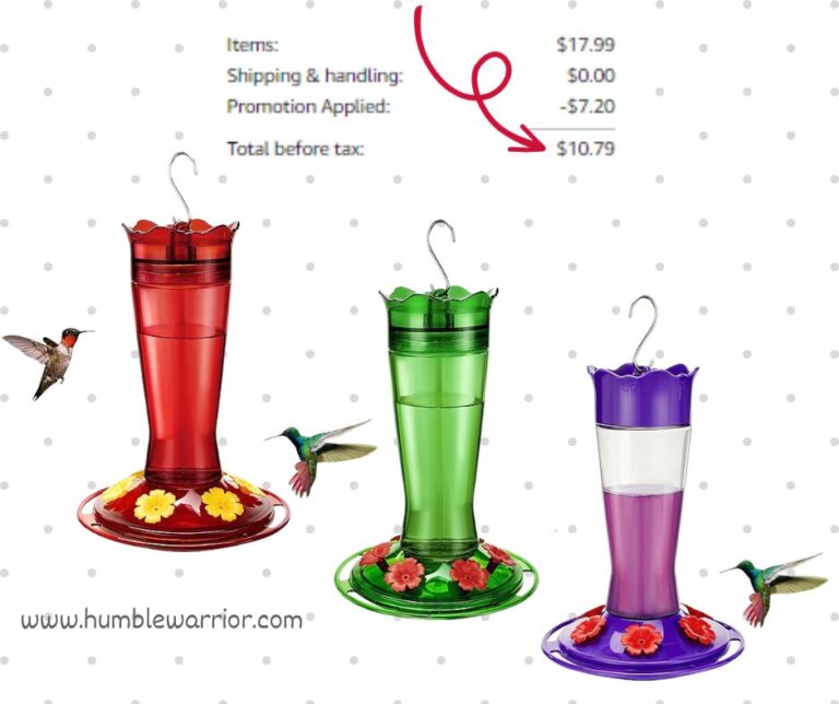Kingsyard Glass Hummingbird Feeder