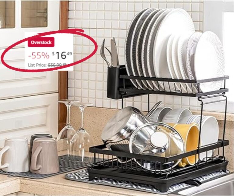 TRSani 2-Tier Dish Drying Rack