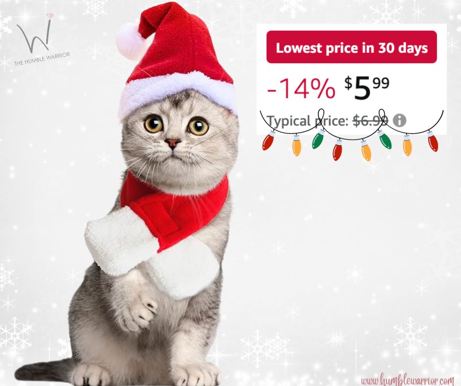 Christmas Cat Outfit