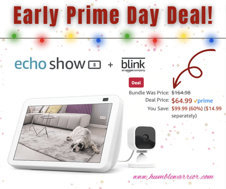 Echo Show + Blink Bundle