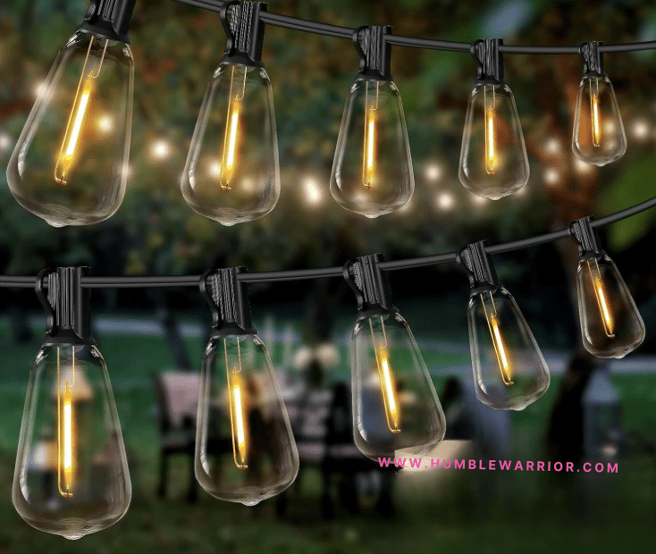 DAYBETTER 100ft Globe LED Patio Lights!