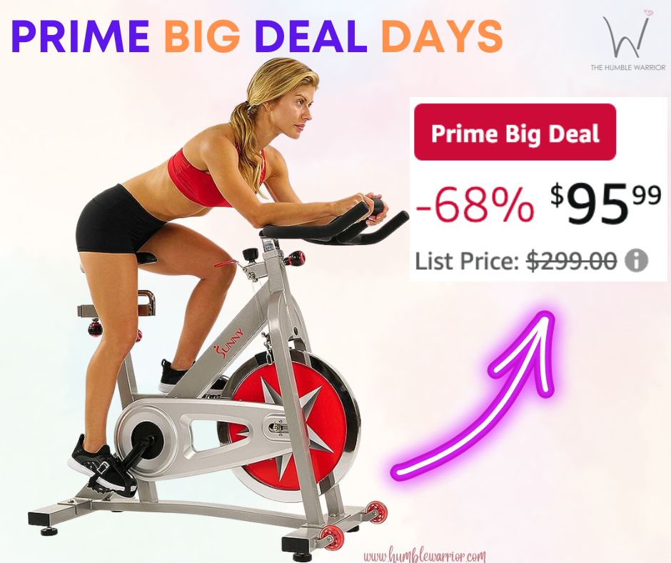 Pro Indoor Cycling Exercise Bike