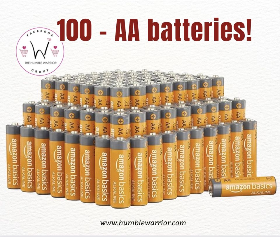 pack of 100 Amazon Basics 100-Pack AA Alkaline High-Performance Batteries