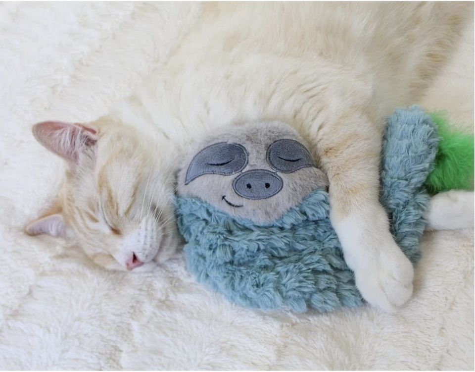 Petstages Purr Pillow Snoozin’ Sloth