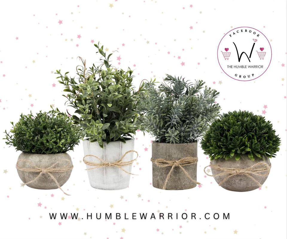 set of four faux succulents