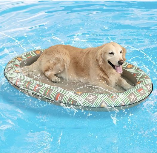 If your pup needs their own float