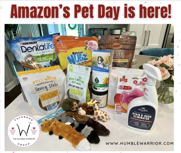Shop 50 of the best Pet Day