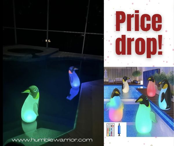 solar penguins