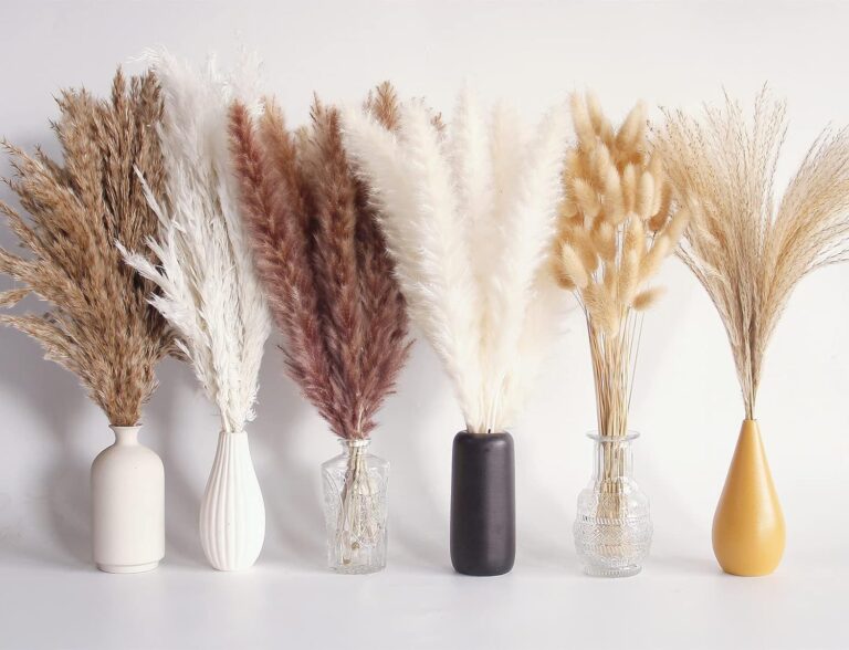 Dried Pampas Grass Decor!