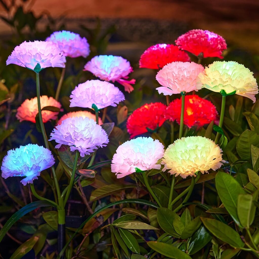 Solar Carnations!