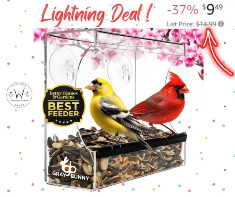 Window Bird Feeder!