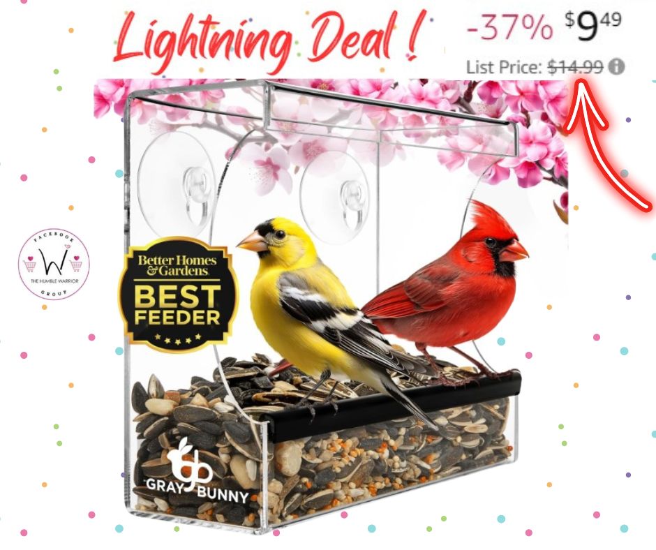 Window Bird Feeder!