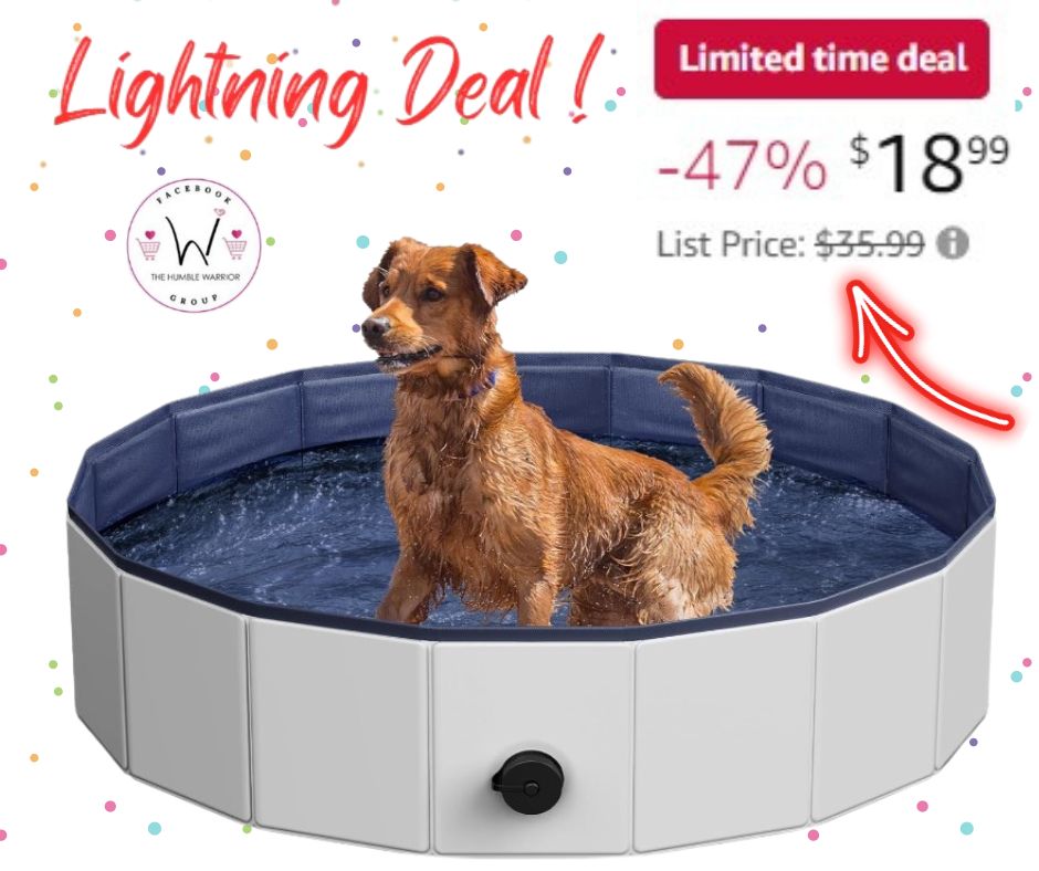 Dog pool savings!