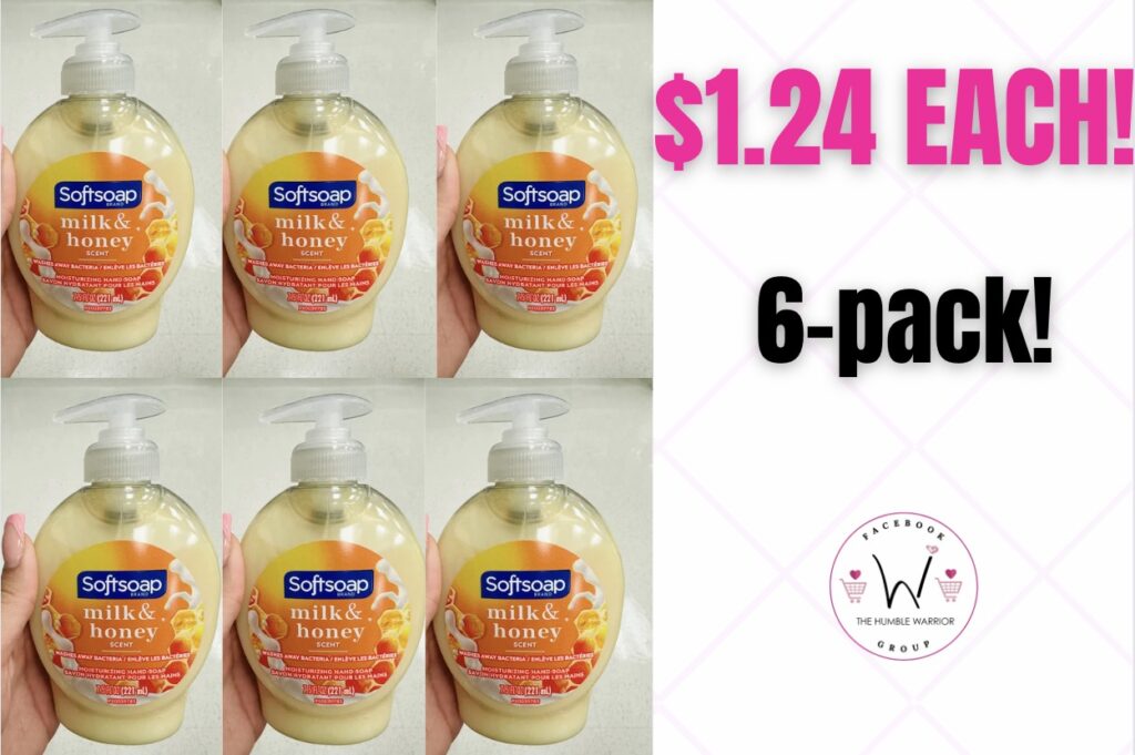 The 6-pack of Softsoap Moisturizing Liquid Hand Soap!