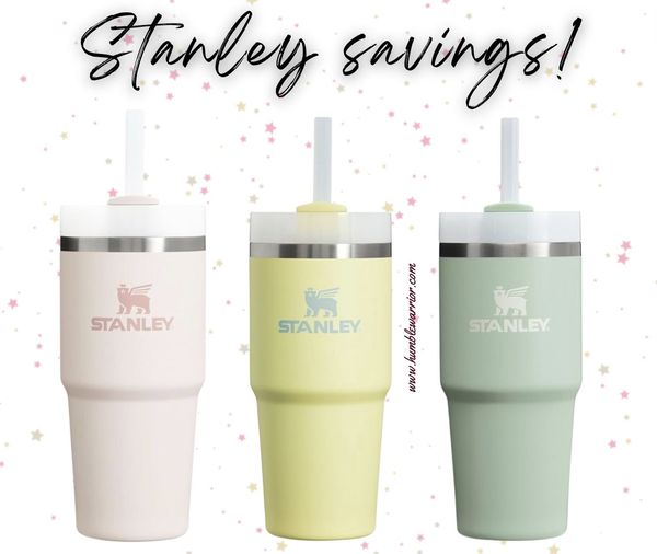 baby Stanley Quenchers