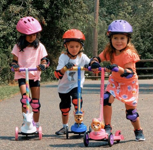 Paw Patrol Toys Skye scooter