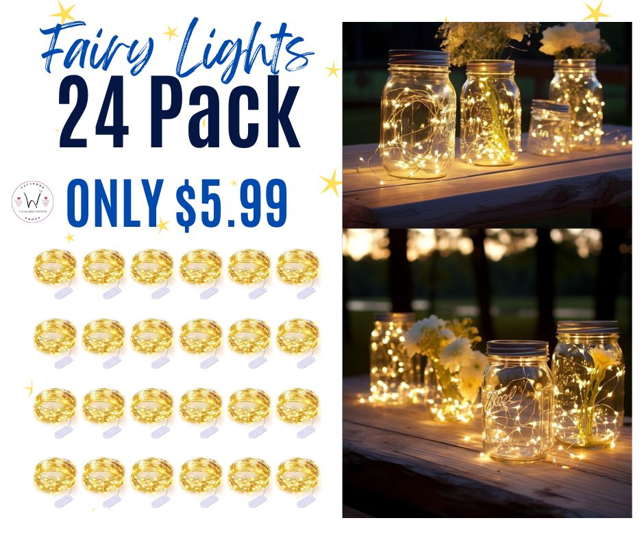 24 Pack of LEDIKON Fairy Lights