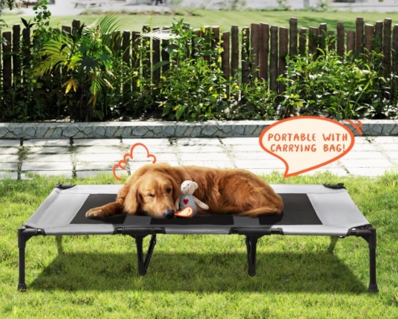 Elevated Pet Bed!