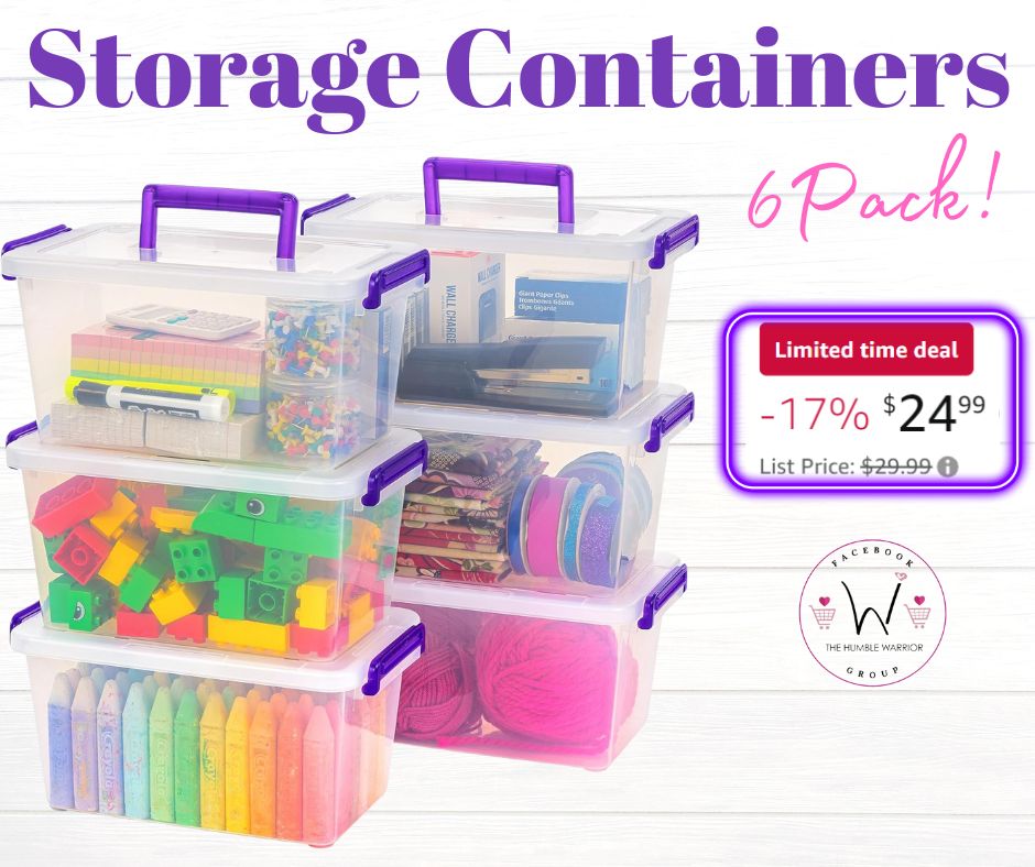 6 pack Plastic Storage Bins with Lids